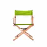 Custom Low Classic Director Chair - 5