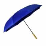 Custom Rebel With a Cause Umbrella - 2