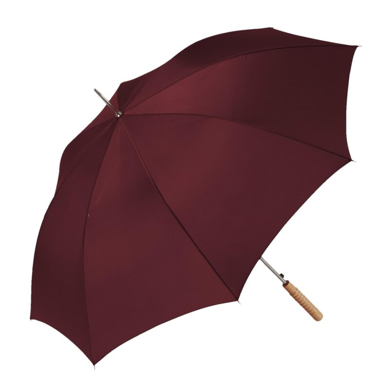 Custom Stick Umbrella - 2