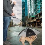 Custom The Doggo Umbrella - 2
